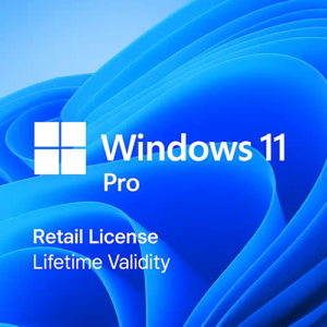 Windows 11 Pro (Digital Key)